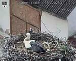 Capi_Dubne_20250509_164002.jpg
