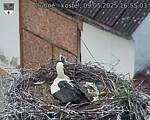 Capi_Dubne_20250509_165503.jpg