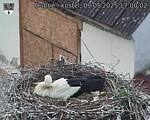 Capi_Dubne_20250509_170002.jpg