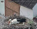 Capi_Dubne_20250509_170502.jpg