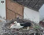 Capi_Dubne_20250509_171003.jpg