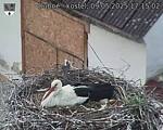 Capi_Dubne_20250509_171502.jpg