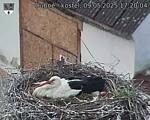 Capi_Dubne_20250509_172004.jpg