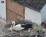 Capi_Dubne_20250509_173002.jpg