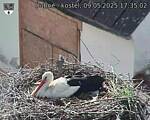 Capi_Dubne_20250509_173502.jpg
