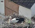 Capi_Dubne_20250509_174502.jpg