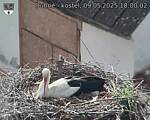 Capi_Dubne_20250509_180002.jpg