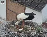 Capi_Dubne_20250509_181502.jpg