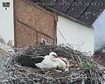 Capi_Dubne_20250509_184003.jpg