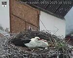 Capi_Dubne_20250509_185502.jpg