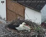 Capi_Dubne_20250509_190004.jpg