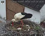 Capi_Dubne_20250509_191002.jpg