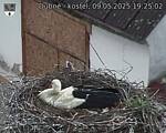 Capi_Dubne_20250509_192503.jpg