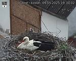 Capi_Dubne_20250509_193002.jpg