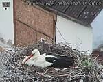 Capi_Dubne_20250509_194003.jpg