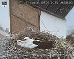 Capi_Dubne_20250509_195003.jpg