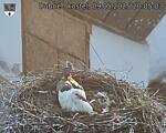 Capi_Dubne_20250509_200503.jpg