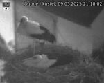 Capi_Dubne_20250509_211002.jpg