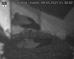 Capi_Dubne_20250509_213002.jpg