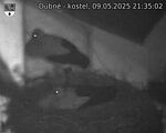 Capi_Dubne_20250509_213502.jpg