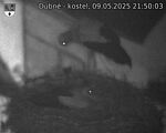 Capi_Dubne_20250509_215003.jpg