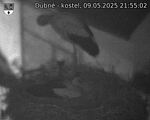 Capi_Dubne_20250509_215502.jpg