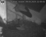 Capi_Dubne_20250509_220502.jpg