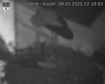 Capi_Dubne_20250509_221003.jpg