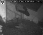 Capi_Dubne_20250509_221502.jpg