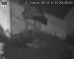 Capi_Dubne_20250509_222003.jpg