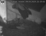Capi_Dubne_20250509_222502.jpg