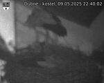 Capi_Dubne_20250509_224002.jpg