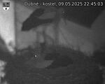 Capi_Dubne_20250509_224503.jpg