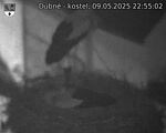 Capi_Dubne_20250509_225502.jpg