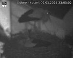 Capi_Dubne_20250509_230502.jpg