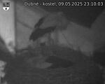 Capi_Dubne_20250509_231003.jpg