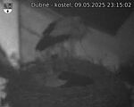 Capi_Dubne_20250509_231502.jpg