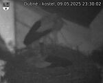 Capi_Dubne_20250509_233002.jpg