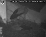 Capi_Dubne_20250509_233502.jpg