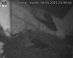 Capi_Dubne_20250509_234002.jpg