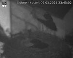 Capi_Dubne_20250509_234502.jpg
