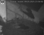 Capi_Dubne_20250509_235002.jpg