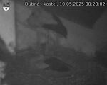 Capi_Dubne_20250510_002002.jpg