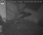 Capi_Dubne_20250510_002502.jpg