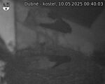 Capi_Dubne_20250510_004003.jpg