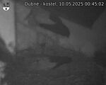 Capi_Dubne_20250510_004502.jpg