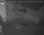 Capi_Dubne_20250510_011502.jpg