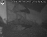 Capi_Dubne_20250510_012002.jpg