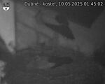 Capi_Dubne_20250510_014502.jpg