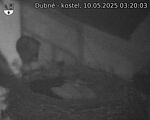 Capi_Dubne_20250510_032003.jpg